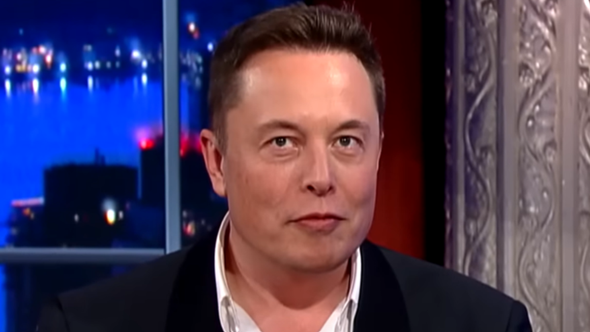 Elon Musk: If Democrats Win In 2024 They’ll Grant Amnesty To Illegal Aliens And Create A ‘Permanent Socialist State’